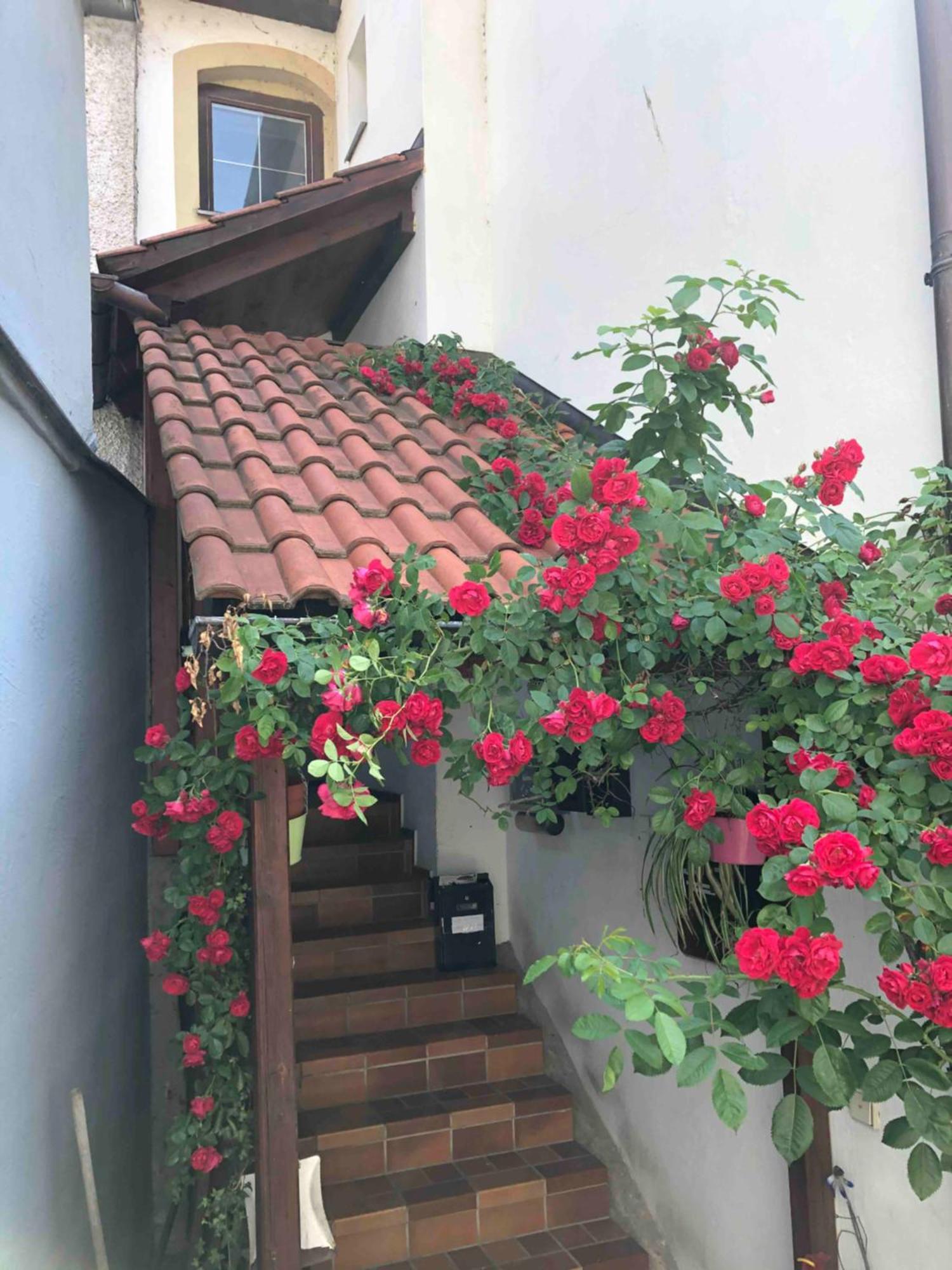 Apartmán Im Rosenhof Lindau Exteriér fotografie